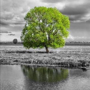 Meet your Posher, Jose luis